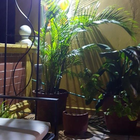 Séjour chez l'habitant Casa Fanny *
