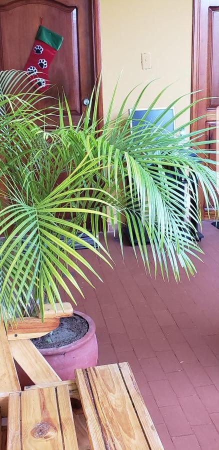 Casa Fanny Homestay Cartagena